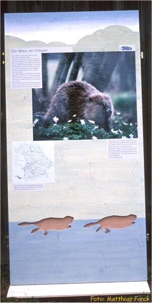 BN-Ausstellung 2a_600