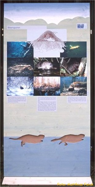 BN-Ausstellung 3a_600