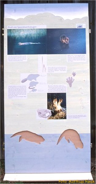 BN-Ausstellung 4a_600