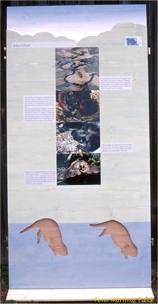 BN-Ausstellung 5a_600