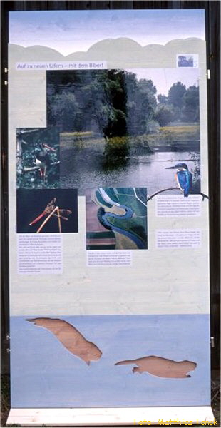 BN-Ausstellung 6a_600