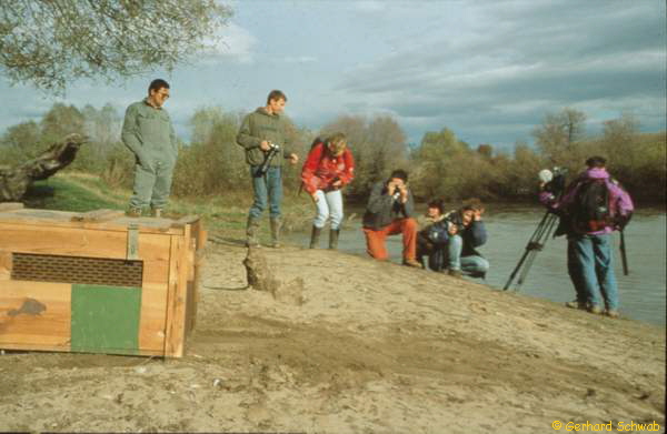 Auslassen Ovidiu_600