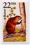 Biberbriefmarke USA 22 Cent ungestempelt_TN