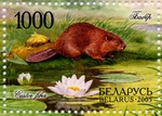 Biberbriefmarke Wei�russland 2005_TN
