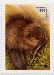 Biberbriefmarke Weissrussland WWF 1995 1 ungestempelt_TN