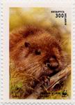 Biberbriefmarke Weissrussland WWF 1995 2 ungestempelt_TN