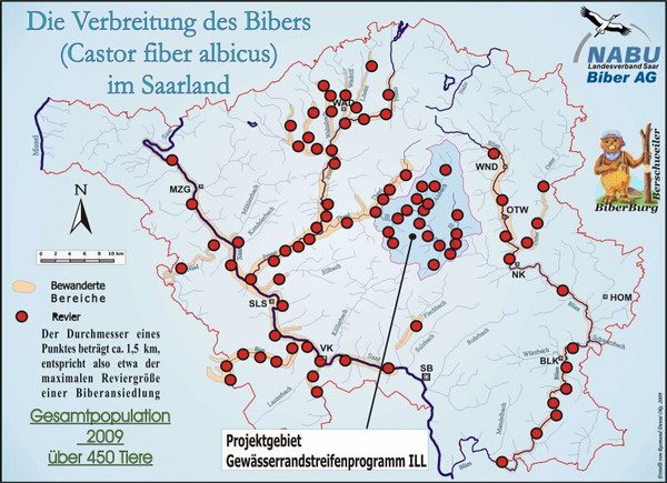 Biber_Saarland_2009