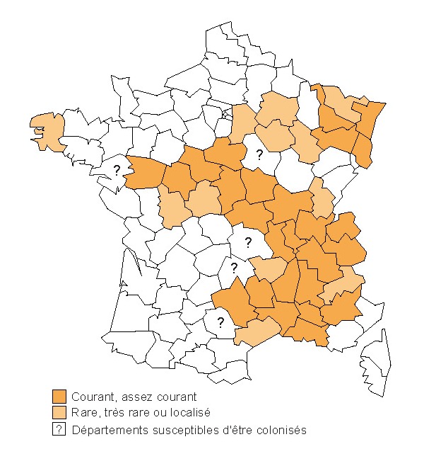 Biberverbreitung Frankreich