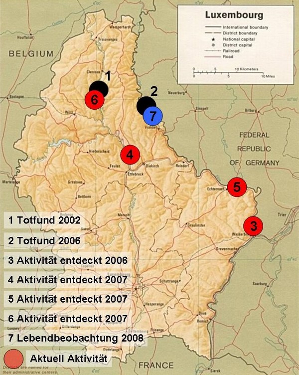 Biber Luxemburg Situation 2008