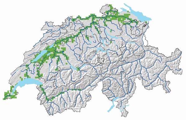 Biberverbreitung_Schweiz_2008_600